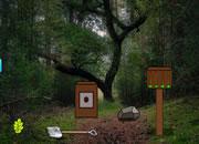 play Treasure Trove Escape From Forest