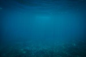 play Thalassophobia