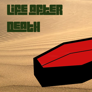 play Life After Death