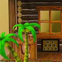 play Avmgames-Bear-House-Escape