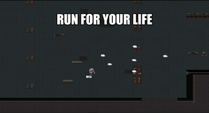 play Run For Your Life