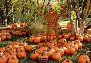 Pumpkin Man Garden Escape