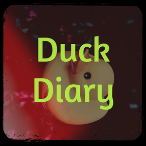 play Duck Diary