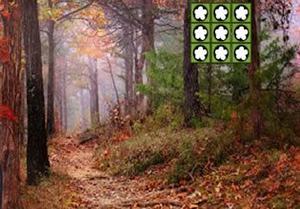 play Little Leaf Girl Escape