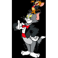play Tom Vs Jerry