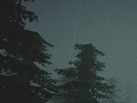 play 78 Hour Rain