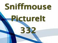 play Pictureit 332