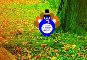 play Thanksgiving Brighten Forest Escape