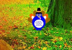 Thanksgiving Brighten Forest Escape