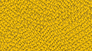 play Rubby Bird(School Project Made In 48Hrs)