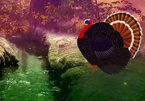 play Country Turkey Forest Escape