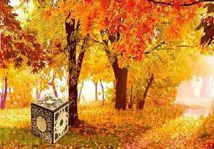 play Thanksgiving Red Autumn Forest Escape