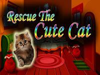 play Top10 Rescue The Cute Cat