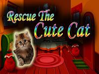 play Top10 Rescue The Cute Cat