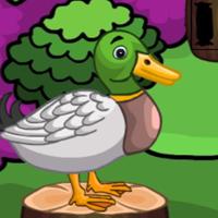play G2M Duckling Rescue Series1