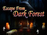 play Top10 Escape From Dark Forest