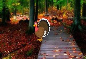 play Thanksgiving Autumn Nature Forest Escape