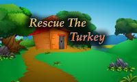 play Top10 Rescue The Turkey