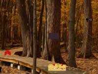 play Thanksgiving Forest Escape