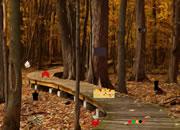 play Thanksgiving Forest Escape