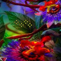 play Dreaming Thanksgiving Forest Escape