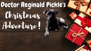 Doctor Reginald Pickle'S Christmas Adventure