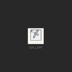 play Gallery - Wk3 Brief