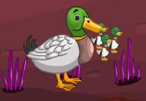play Duckling Rescue 4
