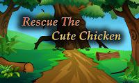 play Top10 Rescue The Cute Chicken
