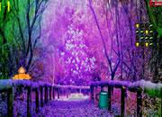 play Thanksgiving Treasure Forest Escape