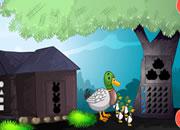 play Duckling Rescue Final Series