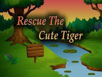 Top10 Rescue The Cute Tiger