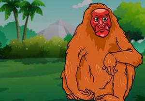 play Bald Uakari Monkey Escape