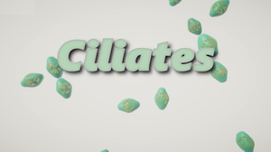 play Ciliates