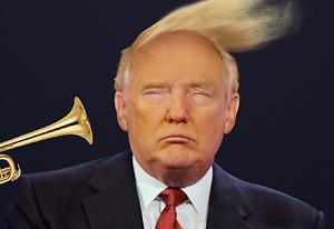 Trumpdonaldorg