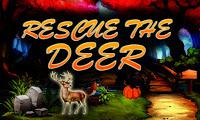 Top10 Rescue The Deer