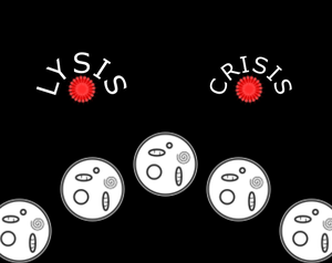 Lysis Crisis
