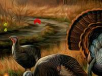 play Wild Turkey Escape