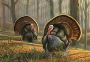 play Wild Turkey Escape