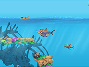 play Hungry Shark Arena