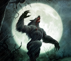 play Werewolf Night Mv 3D