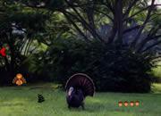 play Wild Turkey Escape