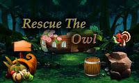 Top10 Rescue The Owl