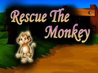 play Top10 Rescue The Monkey