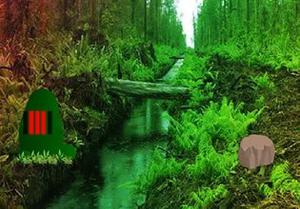 play Fantasy River Forest Escape