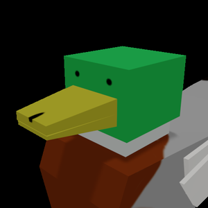 Duck Pond-Ering