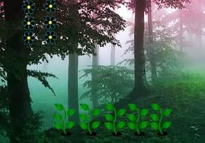 Magical Misty Forest Escape