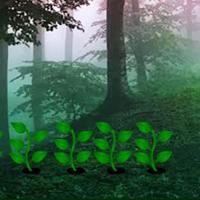 play Magical Misty Forest Escape