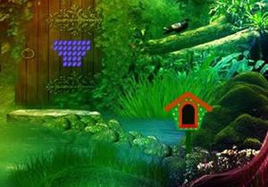 play Fantasy River Fall Forest Escape