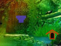 play Fantasy River Fall Forest Escape